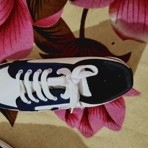 Navy Blue, White Coloured Leather Shoes