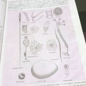 Biology For Class 9