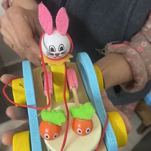 Rabbit Pull Along Toys