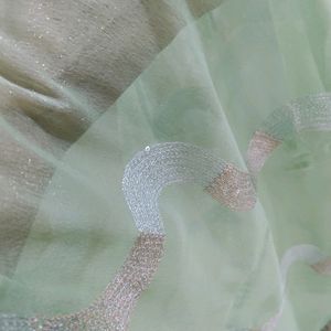 Pista Saree with Beautiful Sequence Work