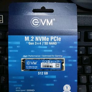 EVM M.2 NVMe  512GB Internal SSD