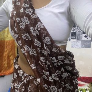 Aesthetic Brown Saree🦅