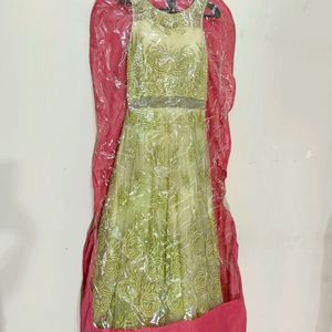 Partywear Net Heavy Embroidered Gown With Dust Bag