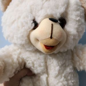 White Baby Teddy Bear | Soft Toy