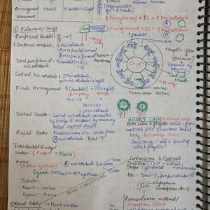 Neet Biology Detailed Notes PDF