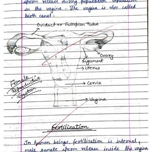 Class10 Biology Notes NCERT CBSE