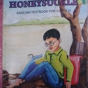 Class 6 Combo NCERT Books