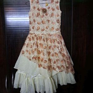 Beautiful Sequence Party Wear Dress