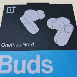 Combo Of OnePlus Earbuds And Loop Earplugs