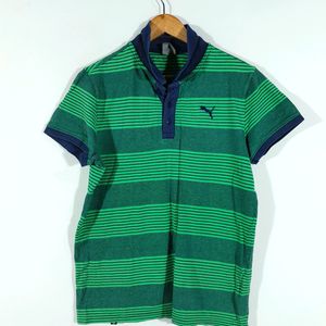 Green Grey Striped T-Shirt (Men's)