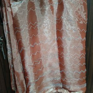 Beautiful Jimmy Choo Saree With Handwork