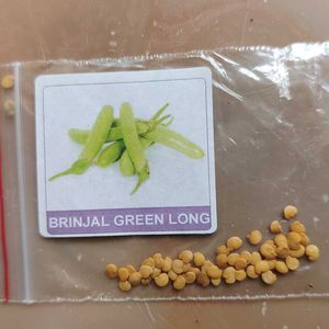 Seeds Combination Of 5 Brinjal Variety