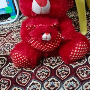 New Teddy Send Offer