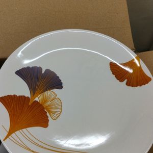 Dinner Set 17 Pc