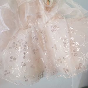 Party Frock 3-4 Year Girl