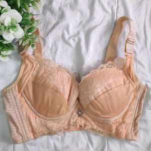 Fancy Corset Bra