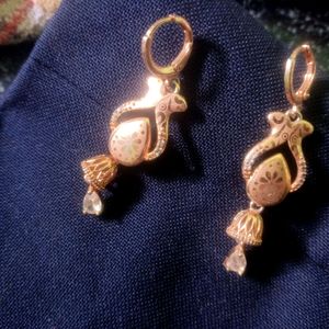 Grap Fast  Guarantee Gold Earrings