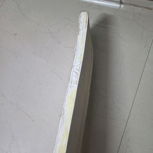 GM Mogul F2 Bullet ( English Willow ) Bat