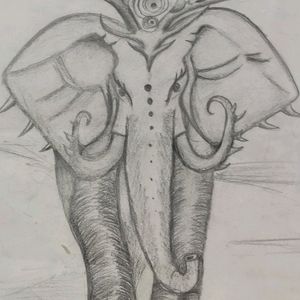 Beautiful Elephant Drawing