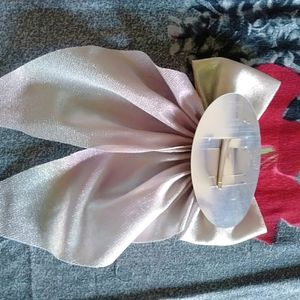 Hair Clips For Women ( Combo)