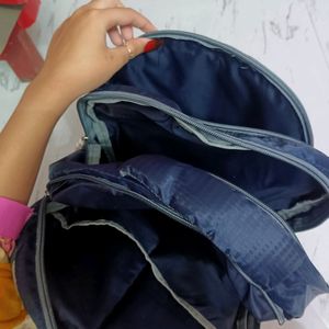 Skybags Backpack Bag