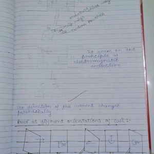 Biology & Physics Notes For Class 12th CBSE