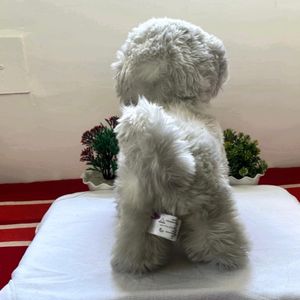 Dog Soft Toy