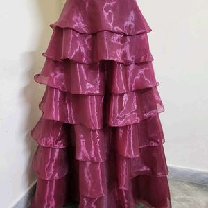 Organza Skirt