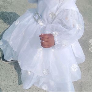 Beautiful Baby Organza Frock