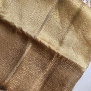 New Without Tag- Banarasi Tissue Silk Saree