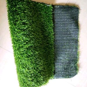 Grass Dormate
