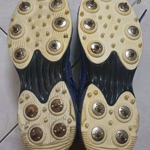 Sega Power Pro Shoes Spikes