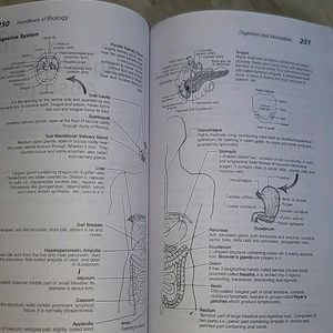 Arihant Biology Handbook