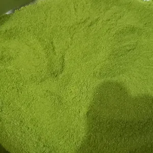 Moringa Powder Fresh Organic