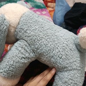 Dog Soft Toy