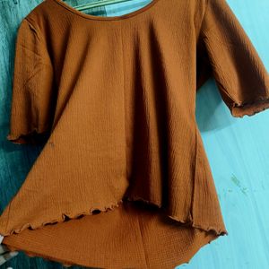 brown Crop Fancy Top