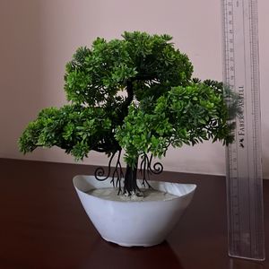 Artificial Plant