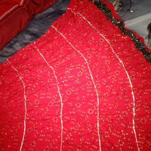 BEAUTIFULLLLL Jaipuri Skirt