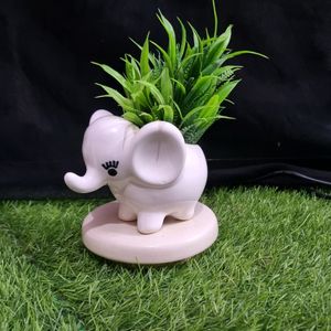 Mini 🐘 Elephant....