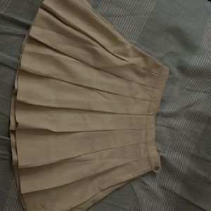 Pleated Skirt