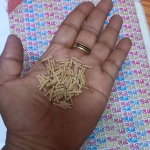 Freshly Harvested White Adenium Seeds