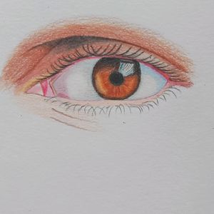 Colour Pencil Drawing