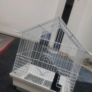 Birds Cage