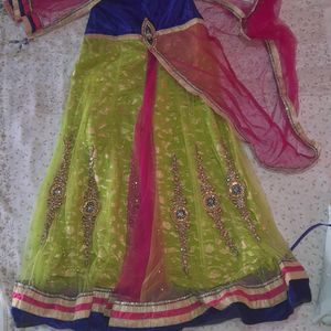 Parrot Green Lehnga Choli