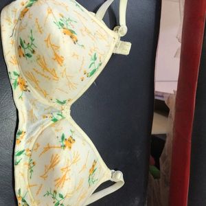 Lemon Printed Padded Bra