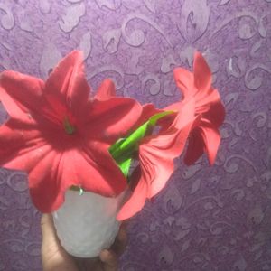 New Rose Red Flower Pot On Cheapest Price ❣️