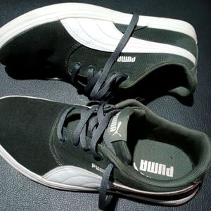 Puma Original Shoes