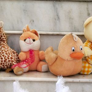 Combo Of Soft Toys