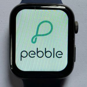 Pebble Frost Bluetooth Smartwatch