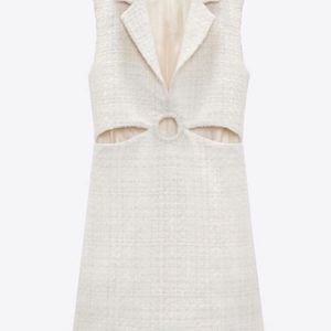 Zara Winter Dress